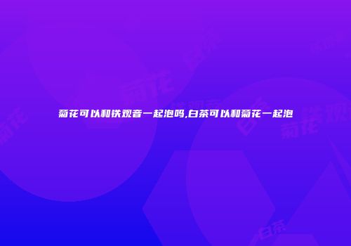 菊花可以和铁观音一起泡吗,白茶可以和菊花一起泡