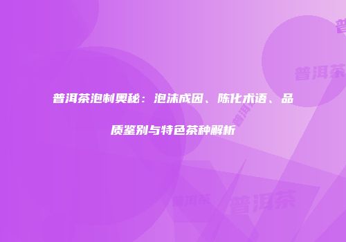 普洱茶泡制奥秘：泡沫成因、陈化术语、品质鉴别与特色茶种解析