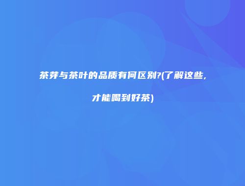 茶芽与茶叶的品质有何区别?(了解这些,才能喝到好茶)