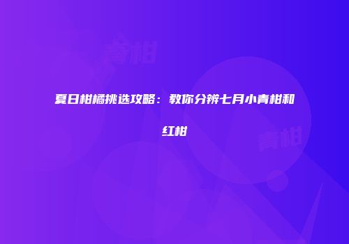 夏日柑橘挑选攻略：教你分辨七月小青柑和红柑