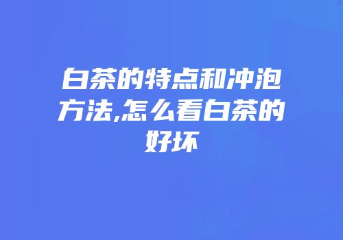 白茶的特点和冲泡方法,怎么看白茶的好坏