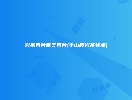 岩茶图片唯美图片(半山腰岩茶特点)