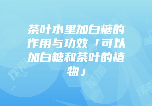 茶叶水里加白糖的作用与功效「可以加白糖和茶叶的植物」