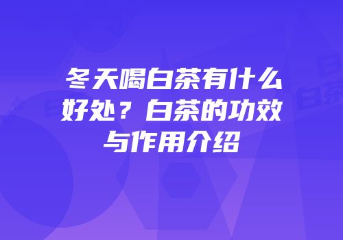 冬天喝白茶有什么好处？白茶的功效与作用介绍