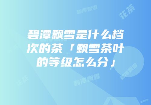 碧潭飘雪是什么档次的茶「飘雪茶叶的等级怎么分」