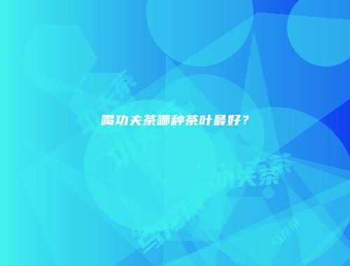喝功夫茶哪种茶叶最好？