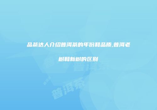品茶达人介绍普洱茶的年份和品质,普洱老树和新树的区别