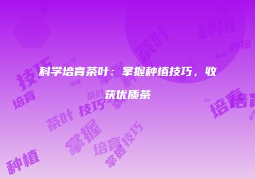 科学培育茶叶：掌握种植技巧，收获优质茶