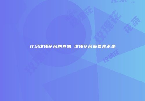 介绍玫瑰花茶的真相_玫瑰花茶有毒是不是