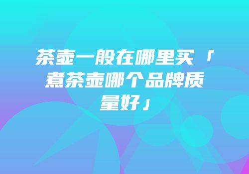 茶壶一般在哪里买「煮茶壶哪个品牌质量好」