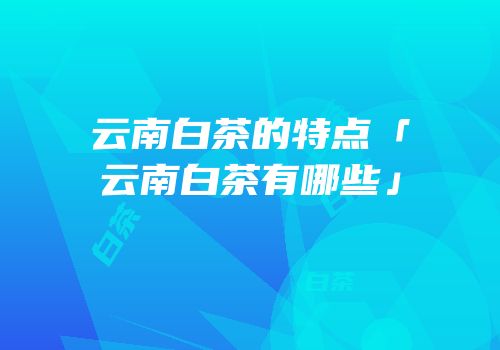 云南白茶的特点「云南白茶有哪些」