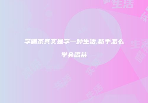 学喝茶其实是学一种生活,新手怎么学会喝茶