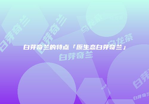 白芽奇兰的特点「原生态白芽奇兰」