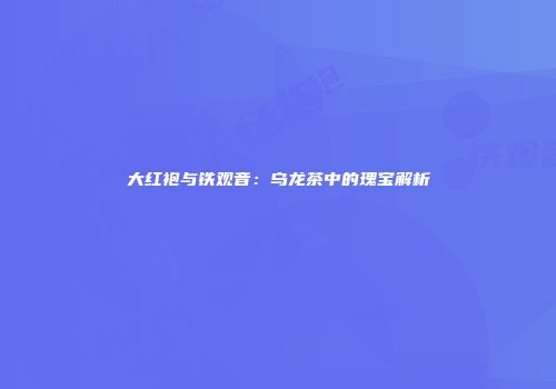 大红袍与铁观音：乌龙茶中的瑰宝解析