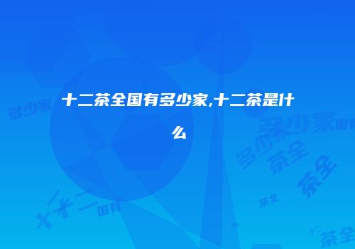 十二茶全国有多少家,十二茶是什么