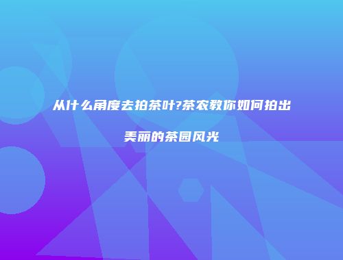 从什么角度去拍茶叶?茶农教你如何拍出美丽的茶园风光
