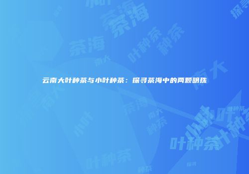 云南大叶种茶与小叶种茶：探寻茶海中的两颗明珠