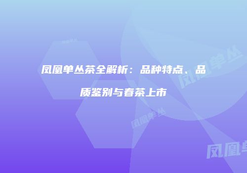 凤凰单丛茶全解析：品种特点、品质鉴别与春茶上市