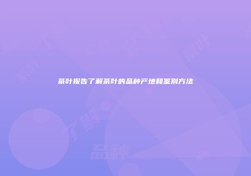 茶叶报告了解茶叶的品种产地和鉴别方法