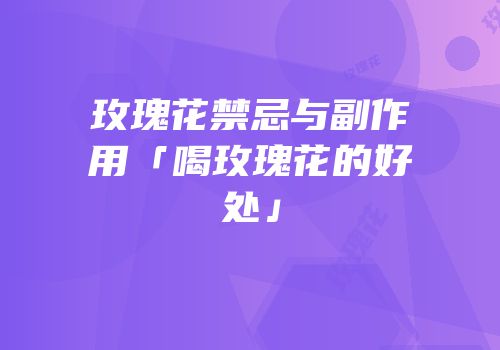 玫瑰花禁忌与副作用「喝玫瑰花的好处」