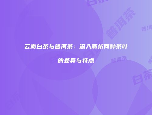 云南白茶与普洱茶：深入解析两种茶叶的差异与特点
