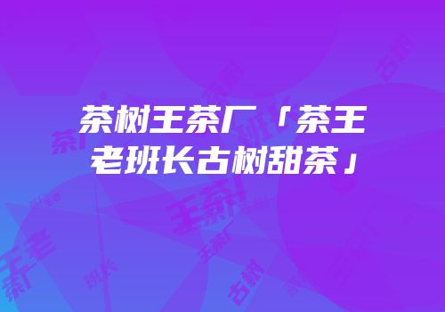 茶树王茶厂「茶王老班长古树甜茶」