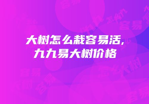 大树怎么栽容易活,九九易大树价格