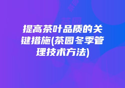 提高茶叶品质的关键措施(茶园冬季管理技术方法)