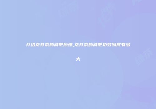 介绍龙井茶的减肥原理,龙井茶的减肥功效到底有多大