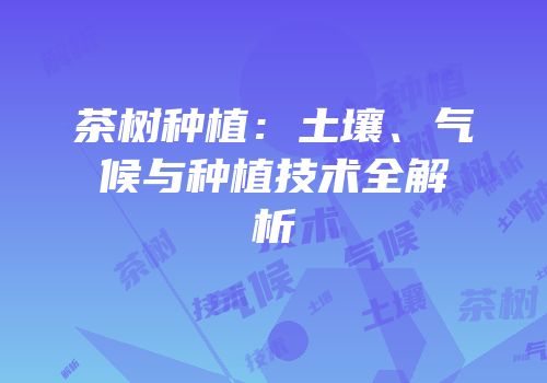 茶树种植：土壤、气候与种植技术全解析