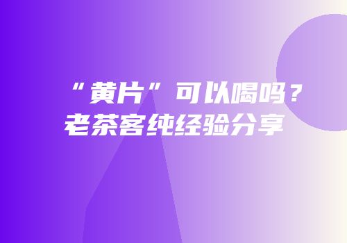 “黄片”可以喝吗？老茶客纯经验分享