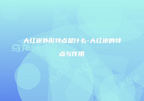 大红袍外形特点是什么-大红袍的特点与作用