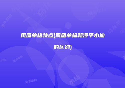 凤凰单枞特点(凤凰单枞和漳平水仙的区别)