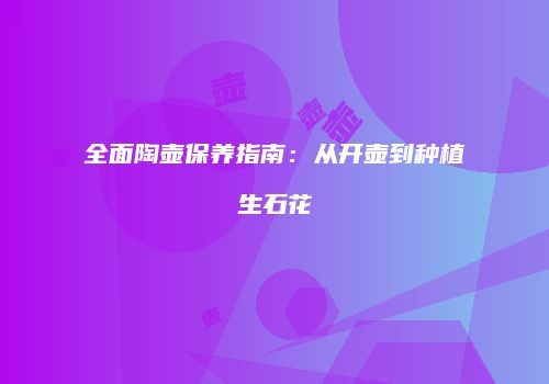 全面陶壶保养指南：从开壶到种植生石花