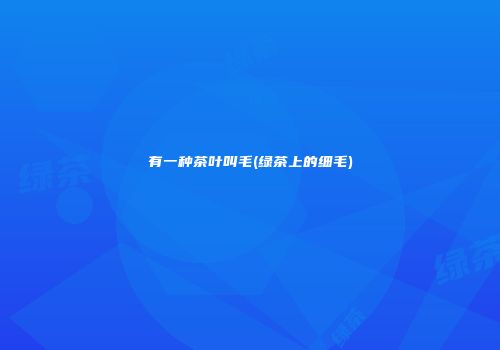 有一种茶叶叫毛(绿茶上的细毛)