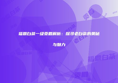 福鼎白茶一级贡眉解析：探寻老白茶的奥秘与魅力