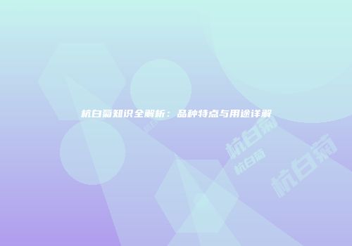 杭白菊知识全解析：品种特点与用途详解