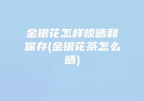 金银花怎样晾晒和保存(金银花茶怎么晒)