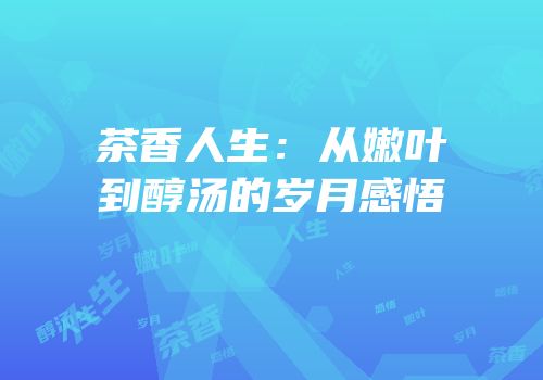 茶香人生：从嫩叶到醇汤的岁月感悟