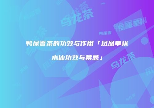 鸭屎香茶的功效与作用「凤凰单枞水仙功效与禁忌」