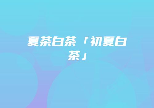 夏茶白茶「初夏白茶」