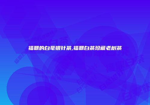 福鼎的白毫银针茶,福鼎白茶珍藏老树茶