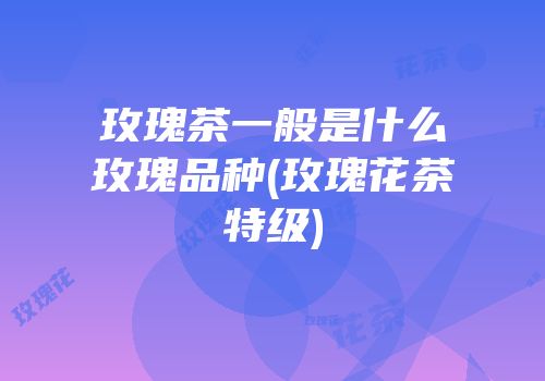 玫瑰茶一般是什么玫瑰品种(玫瑰花茶特级)