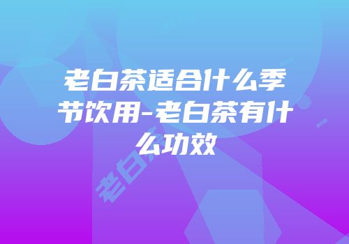 老白茶适合什么季节饮用-老白茶有什么功效