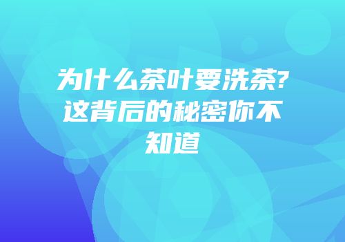 为什么茶叶要洗茶?这背后的秘密你不知道