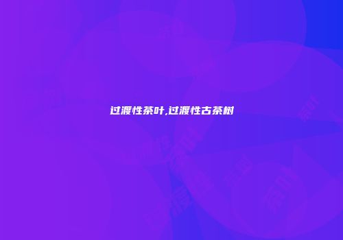 过渡性茶叶,过渡性古茶树