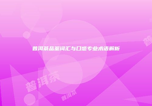 普洱茶品鉴词汇与口感专业术语解析