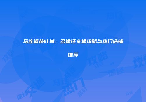 马连道茶叶城：多途径交通攻略与热门店铺推荐