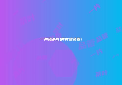 一片罐茶叶(两片罐品管)