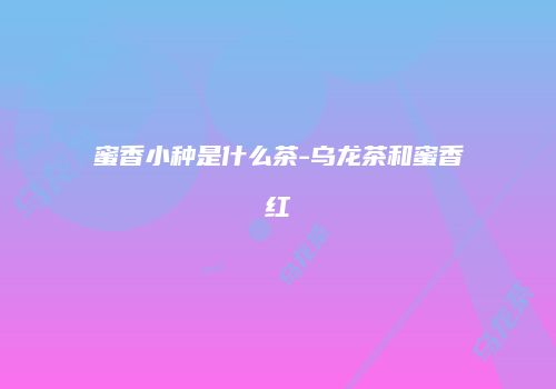 蜜香小种是什么茶-乌龙茶和蜜香红